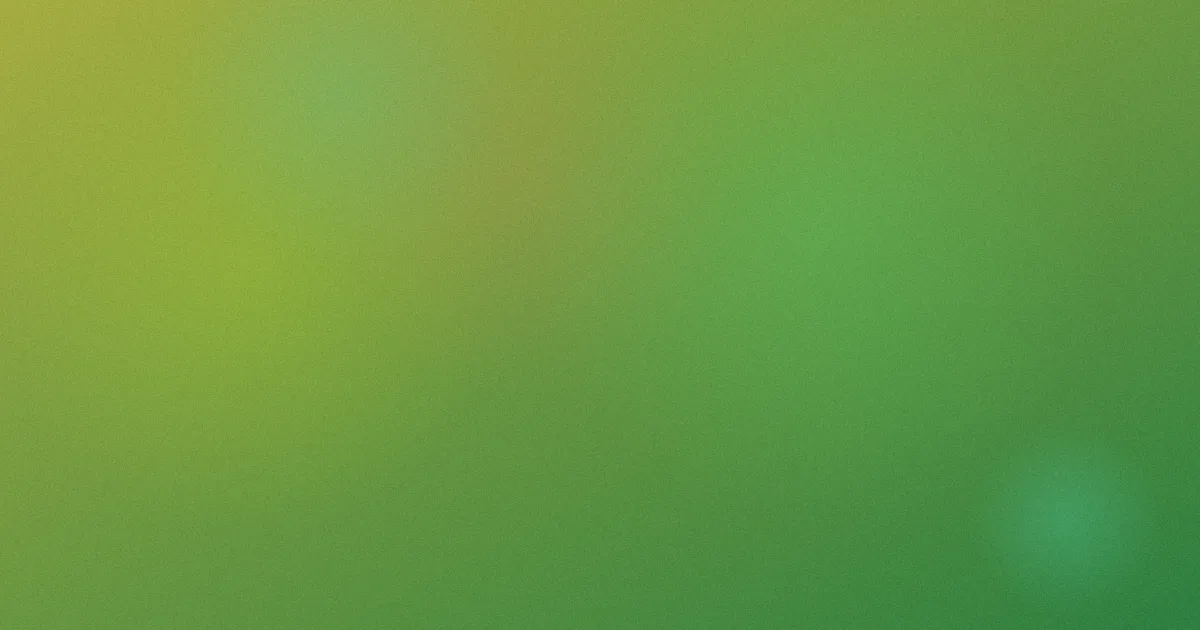 Cel攻略：和数字动画怎么选